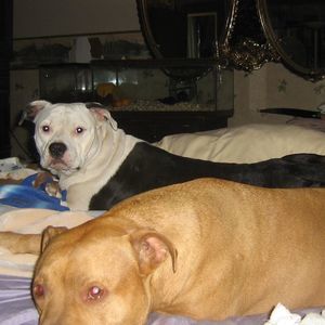 Meet your Posher, Melody